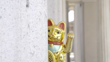 Imagen de un gato chino Imagen de un gato chino