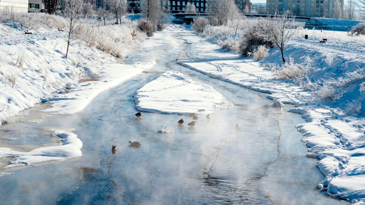 Babia (León) registers the record temperature of this Wednesday with -23.2 degrees