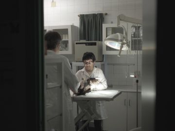 Eli en la clínica veterinaria en la que colabora Eli en la clínica veterinaria en la que colabora