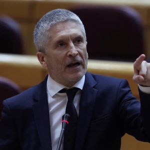 El ministro del Interior, Fernando Grande-Marlaska, durante la sesión del control al Gobierno El ministro del Interior, Fernando Grande-Marlaska, durante la sesión del control al Gobierno