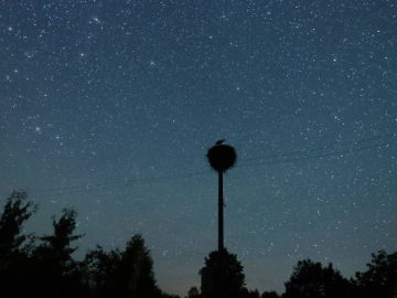 Oriónidas 2020: hoy es la mejor ocasión para ver la lluvia de estrellas del cometa Halley Oriónidas 2020: hoy es la mejor ocasión para ver la lluvia de estrellas del cometa Halley