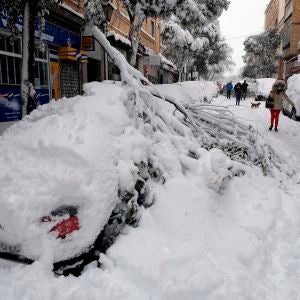 Una rama cae sobre un coche en el barrio madrileño de Urgel, Carabanchel, calle Camino Viejo de Leganés Una rama cae sobre un coche en el barrio madrileño de Urgel, Carabanchel, calle Camino Viejo de Leganés