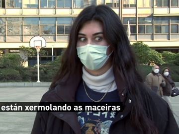 ¿Saben hablar bien gallego los jóvenes de ciudad de Galicia? ¿Saben hablar bien gallego los jóvenes de ciudad de Galicia?