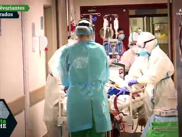 El papel esencial (y en ocasiones "invisible") de los colectivos sanitarios menos conocidos en el cuidado de pacientes COVID El papel esencial (y en ocasiones "invisible") de los colectivos sanitarios menos conocidos en el cuidado de pacientes COVID